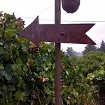Bed and Breakfast Aux Du Bourg Saint-Avit-Sénieur